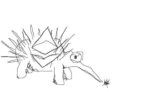 Echidna